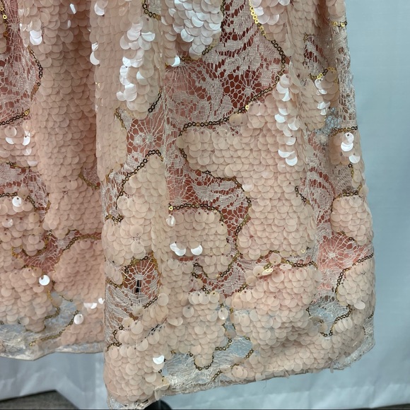 Anthropologie Eva Franco  Blush Gold Sequin Lace Fit and Flare Dress 8 - Picture 6 of 14